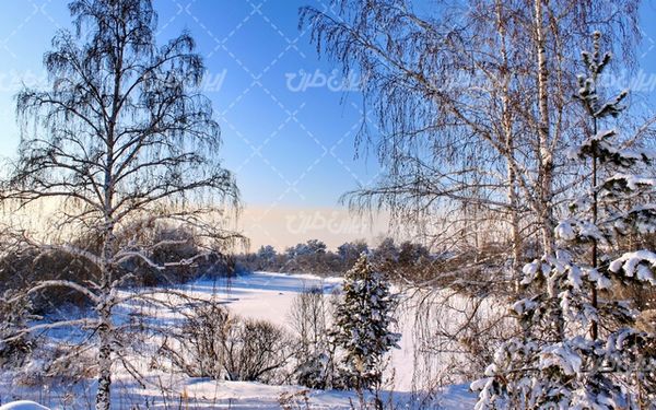 تصویر با کیفیت طبیعت زیبای زمستان به همراه برف و طبیعت برفی