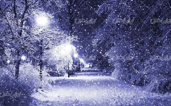 تصویر با کیفیت طبیعت زیبای زمستان به همراه برف و طبیعت برفی