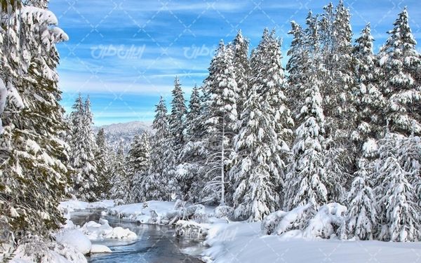 تصویر با کیفیت طبیعت زیبای زمستان به همراه برف و طبیعت برفی