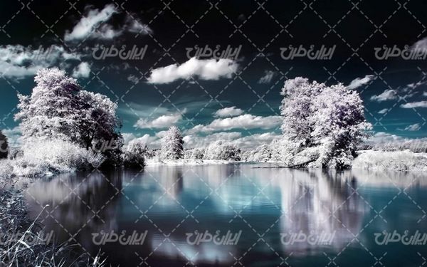 تصویر با کیفیت طبیعت زیبای زمستان به همراه برف و طبیعت برفی
