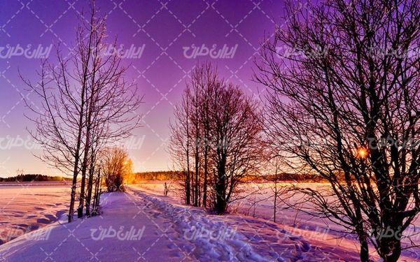 تصویر با کیفیت طبیعت زیبای زمستان به همراه برف و طبیعت برفی