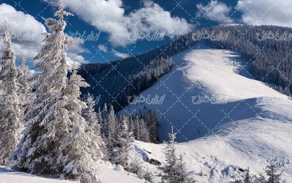 تصویر با کیفیت منظره زمستان به همراه برف و طبیعت برفی