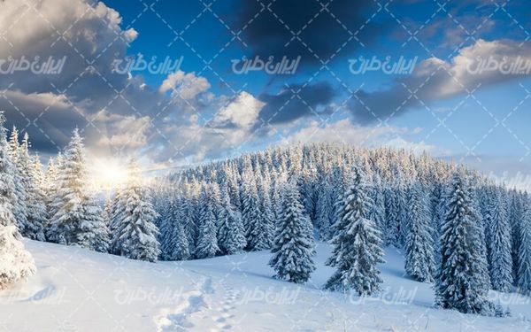 تصویر با کیفیت منظره زمستان به همراه برف و طبیعت برفی