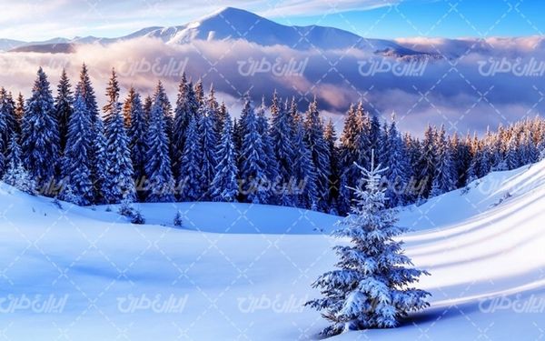تصویر با کیفیت منظره زمستان به همراه برف و طبیعت برفی