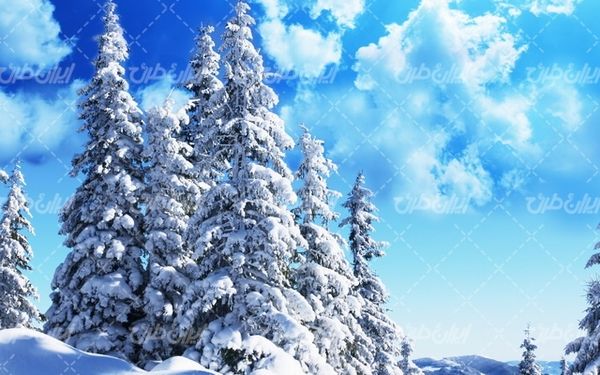 تصویر با کیفیت منظره زمستان به همراه برف و طبیعت برفی