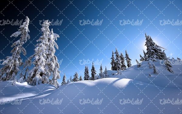 تصویر با کیفیت منظره زمستان به همراه برف و طبیعت برفی