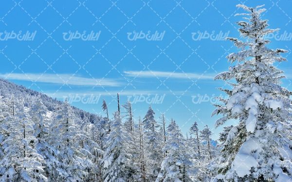 تصویر با کیفیت منظره زمستان به همراه برف و طبیعت برفی