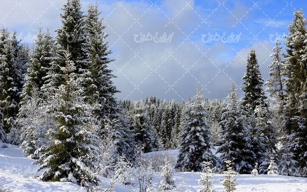 تصویر با کیفیت منظره زمستان به همراه برف و طبیعت برفی