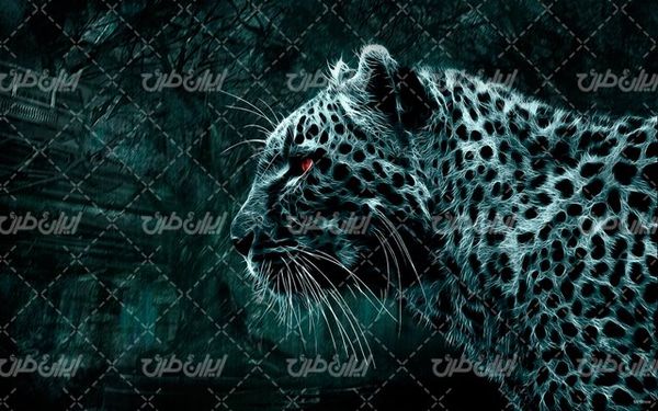 تصویر با کیفیت پس زمینه رنگی همراه با تصویر زمینه و بک گراند
