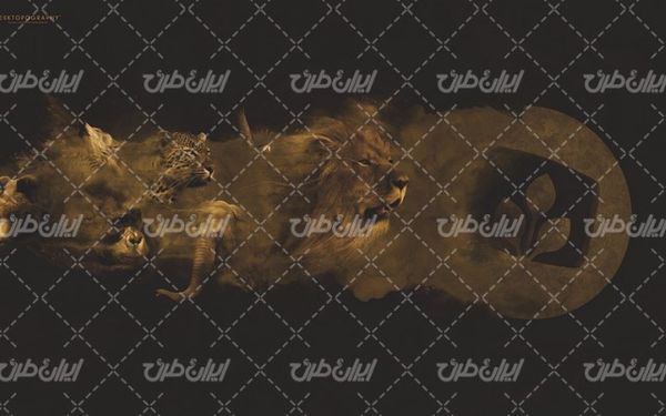 تصویر با کیفیت پس زمینه رنگی همراه با تصویر زمینه و بک گراند