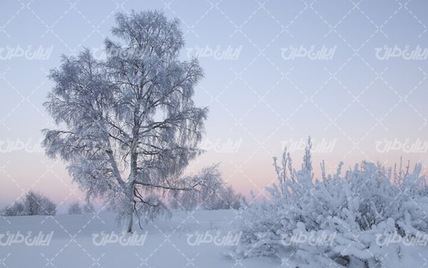 تصویر با کیفیت منظره زیبای برف به همراه برف و طبیعت برفی
