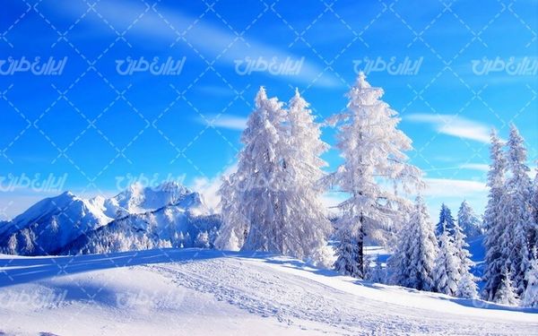 تصویر با کیفیت منظره زیبای برف به همراه برف و طبیعت برفی