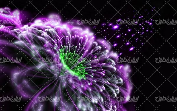 تصویر با کیفیت والپیپر همراه با تصویر زمینه و بک گراند