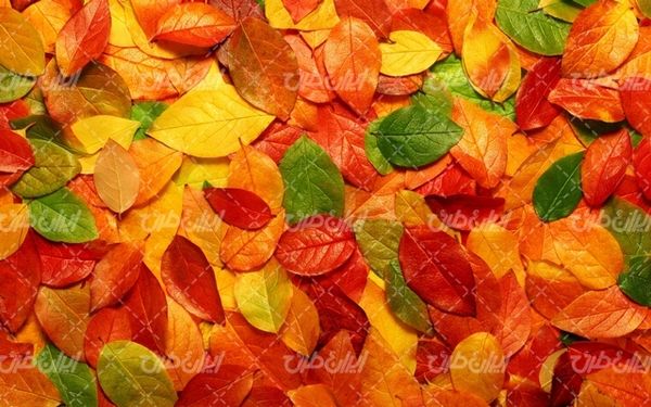 تصویر با کیفیت والپیپر انتزاعی همراه با تصویر زمینه و بک گراند