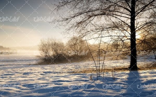 تصویر با کیفیت چشم انداز طبیعت برفی به همراه برف و منظره برفی