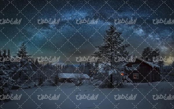 تصویر با کیفیت درخت پوشیده از برف به همراه برف و منظره برفی