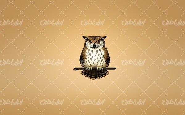 تصویر با کیفیت جغد همراه با تصویر زمینه و بک گراند