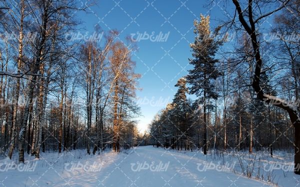 تصویر با کیفیت منظره زیبای طبیعت زمستان به همراه برف و منظره برفی