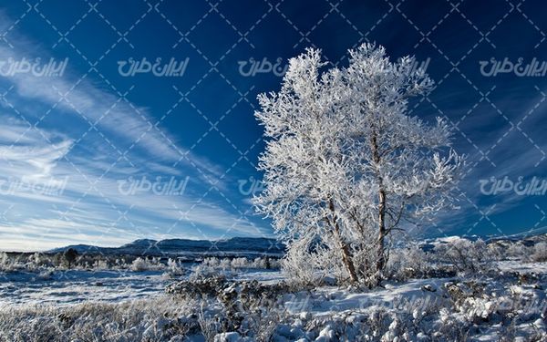 تصویر با کیفیت منظره زیبای طبیعت زمستان به همراه برف و منظره برفی