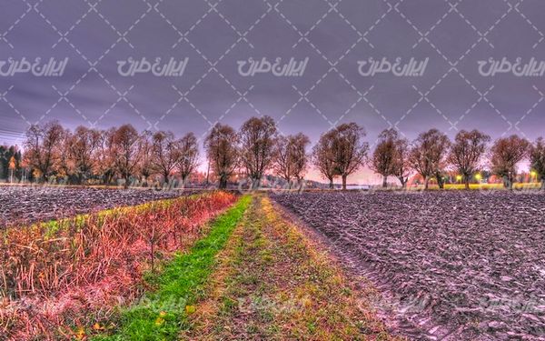 تصویر با کیفیت چشم انداز همراه با منظره و چشم انداز زمین کشاورزی