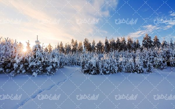 تصویر با کیفیت منظره زیبای طبیعت زمستان به همراه برف و منظره برفی