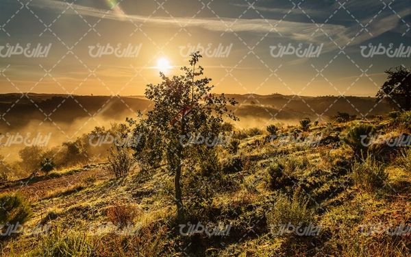 تصویر با کیفیت چشم انداز همراه با منظره و چشم انداز زیبای غروب آفتاب