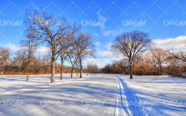 تصویر با کیفیت فصل زیبای زمستان به همراه برف و منظره برفی