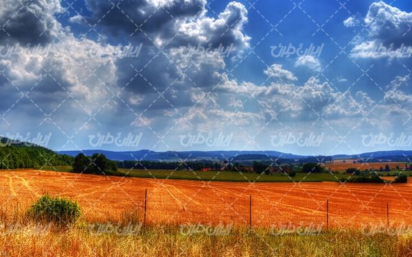 تصویر با کیفیت چشم انداز همراه با منظره و چشم انداز زیبای مزرعه