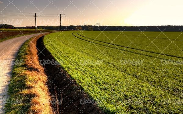تصویر با کیفیت چشم انداز همراه با منظره و چشم انداز زیبای مزرعه