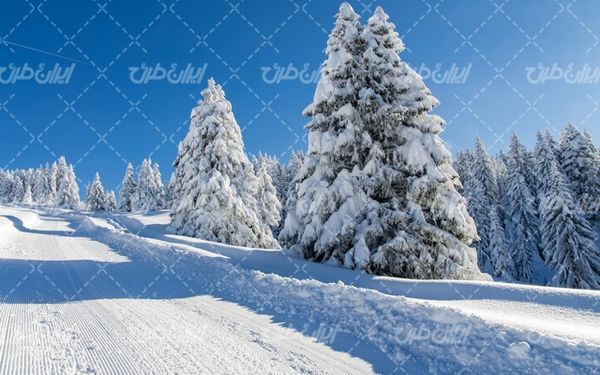 تصویر با کیفیت فصل زیبای زمستان به همراه برف و منظره برفی