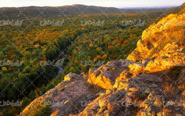 تصویر با کیفیت چشم انداز همراه با منظره و چشم انداز زیبای جنگل
