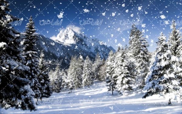 تصویر با کیفیت طبیعت برفی به همراه برف و منظره برفی