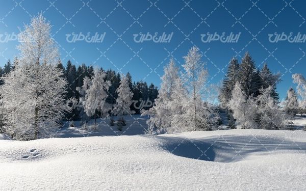 تصویر با کیفیت منظره زیبای فصل پاییز به همراه برف و طبیعت برفی