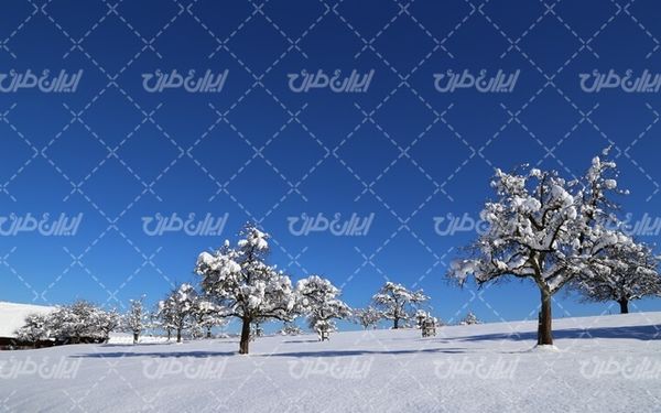 تصویر با کیفیت منظره زیبای کوهستان برفی به همراه برف و منظره برفی