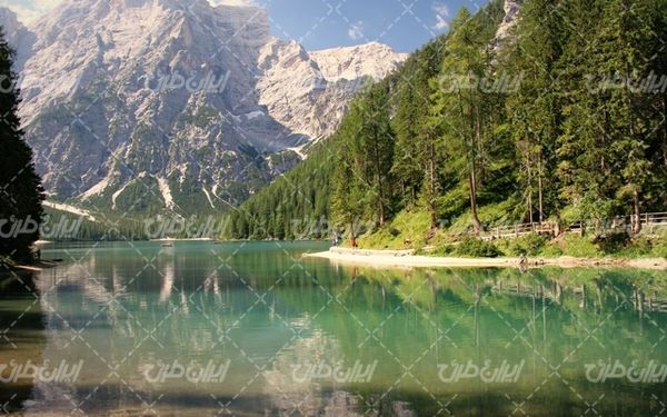 تصویر با کیفیت چشم انداز همراه با منظره و چشم انداز زیبای جنگل
