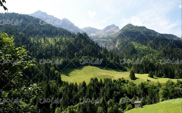 تصویر با کیفیت منظره زیبا همراه با منظره و چشم انداز زیبای جنگل