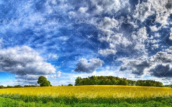 تصویر با کیفیت منظره زیبا همراه با منظره و چشم انداز زیبای مزرعه