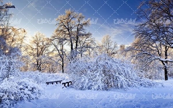 تصویر با کیفیت چشم انداز برفی زمستان به همراه برف و منظره برفی