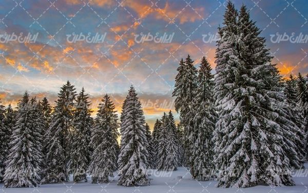 تصویر با کیفیت منظره زیبای فصل پاییز به همراه برف و طبیعت برفی
