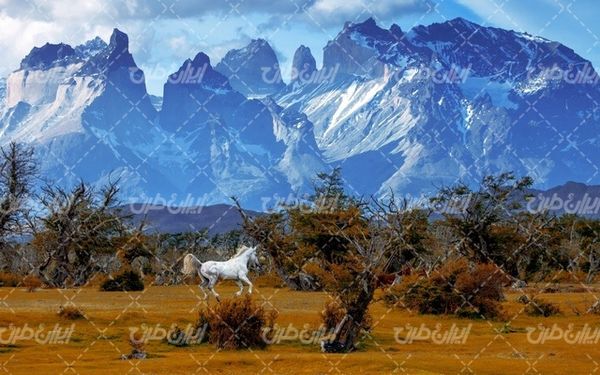تصویر با کیفیت طبیعت زیبا همراه با منظره و چشم انداز زیبای کوه