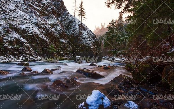تصویر با کیفیت طبیعت زیبا همراه با منظره و چشم انداز زیبای جنگل برفی