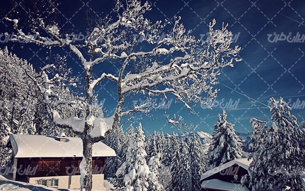 تصویر با کیفیت منظره زیبای فصل پاییز به همراه برف و طبیعت برفی
