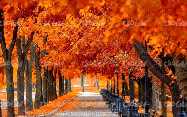 تصویر با کیفیت طبیعت زیبا همراه با منظره و چشم انداز زیبای فصل پاییز