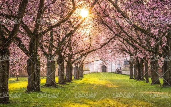 تصویر با کیفیت طبیعت زیبا همراه با منظره و چشم انداز زیبای فصل بهار