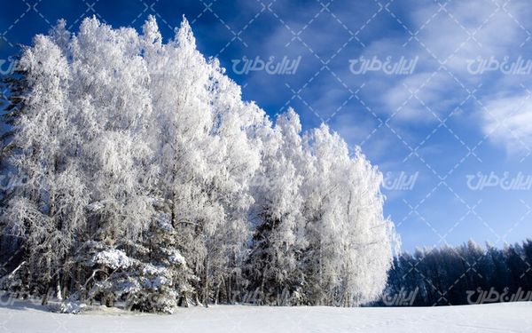 تصویر با کیفیت طبیعت زیبا همراه با منظره و چشم انداز زیبای برف