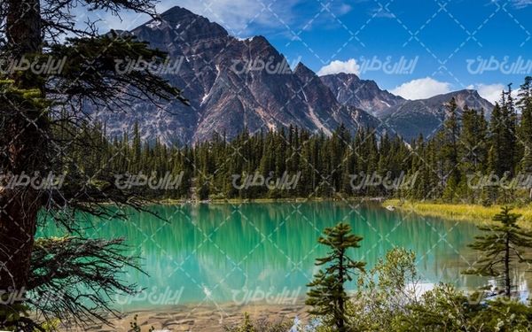 تصویر با کیفیت چشم انداز زیبای دریاچه همراه با منظره و طبیعت زیبا