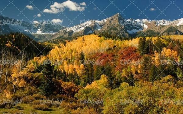 تصویر با کیفیت چشم انداز فصل پاییز همراه با منظره و طبیعت زیبا