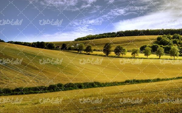 تصویر با کیفیت چشم انداز زیبای مزرعه همراه با منظره و طبیعت زیبا