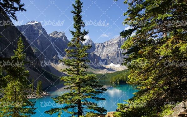تصویر با کیفیت چشم انداز زیبای جنگل همراه با منظره و طبیعت زیبا