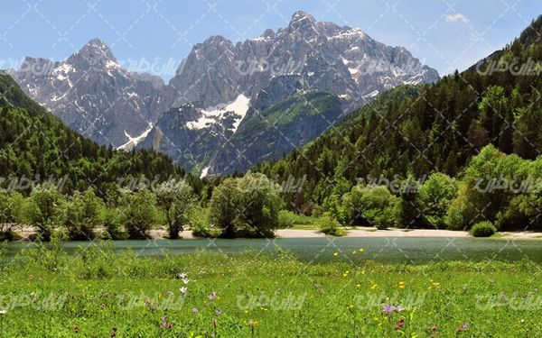 تصویر با کیفیت چشم انداز زیبای کوه همراه با منظره و طبیعت زیبا